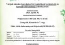 Csongrád – A legszebb konyhakertek